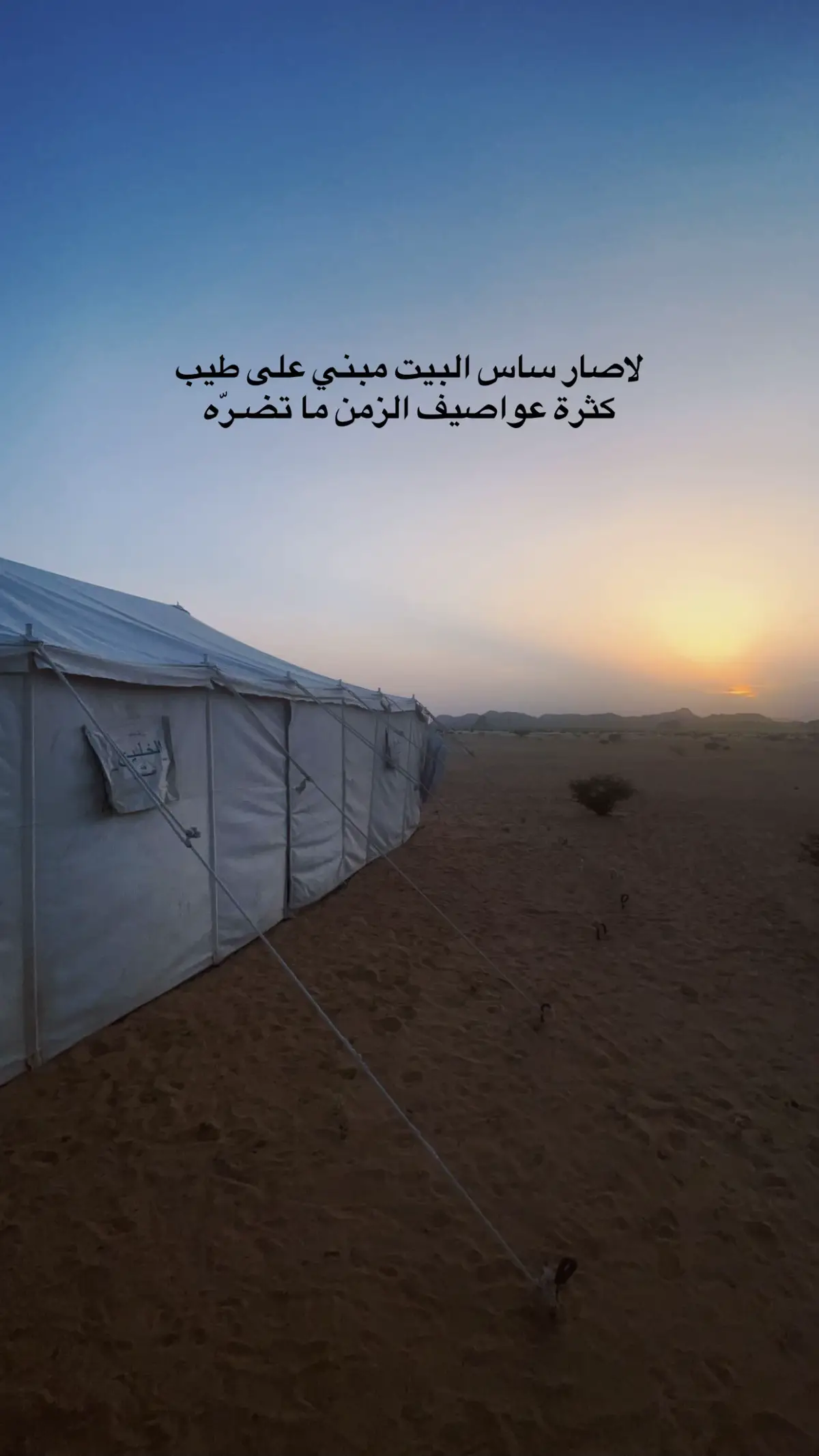 #تفاعلكم #لايك #متابعه 🌷