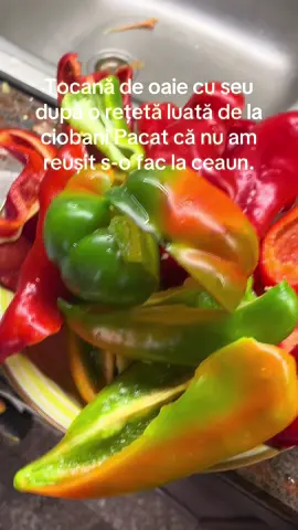 ###TOCAN#OAIE#TOCANCUSEU