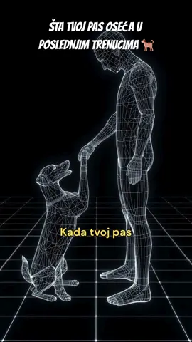 Kada tvoj pas zna da je došao trenutak… 🕊️🐾🥺