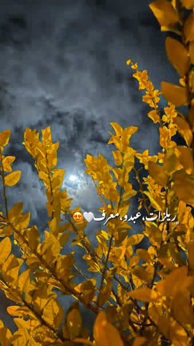 اني سبب شهرت لاغنيه هادي❤️🔥 #ليبيا_طرابلس_مصر_تونس_المغرب_الخليج #foryou #fyp #اكسبلور #الرجبان_الجبل_الغربي_🔥🦅❤🇱🇾 