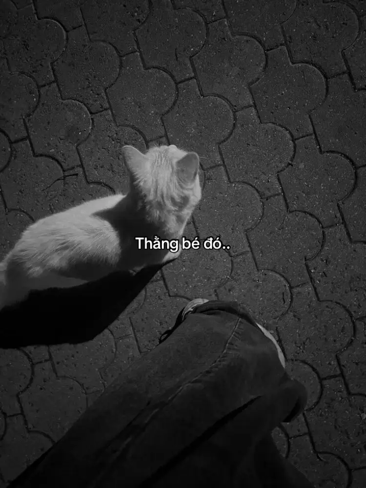 #tamtrang #fyp #tinhyeu #ddnxuhuong #phecamxuc 