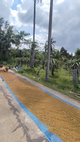 เบิ่ดคำสิ่เว้า🤔🤔