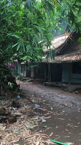 Suasana sore menjelang maghrib di kampung halaman #kampungjawa #vibes #fyp #berandatiktok 