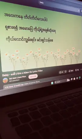Daisy - ဒေစီ 🌼 #musicvibe #myanmarsong #myanmarlyrics #lyricsvideo #fyp