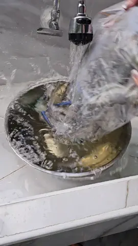 เมนู​ง่ายๆ​ค่ะ​❤️@ครอบครัวสายฮา 