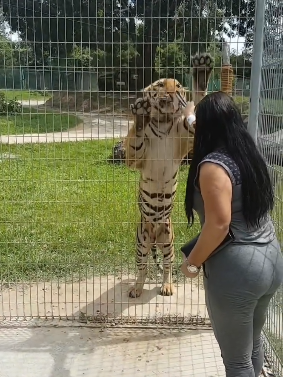 اوصف المشهد باللغة الإنجليزية و انا حمار أفضل وصف و انزلو في فيديو. describe the scene in English #fyp #education #english #اللغة_الانجليزية #sihemmrabet 