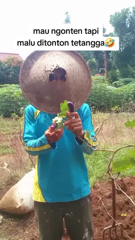 malu dilihat tetangga #asalamualaikum🙏 