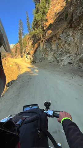 Phoulai Charhai 🌲❤️🏕️🌿🏡#نیلم_ویلی_جنت_ویلی #kashmirbeauty #foryourpage #viralvideo #repostplzz❤✌🏼 @pakistan_____beauty @Hello_Kalam @Beauty of Kashmir ❤️ 