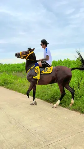 #မိုးမခ #အားပေးသူတိုင်းကိုကျေးဇူးတင်ပါတယ်😘😘😘 #မြင်းဝါသနာရှင်အပေါင်းအားလေးစားလျှက်🙏 #ရောက်ချင်တဲ့နေရာရောက်ကွာ😍🤗🤗😅😅 #ရောက်စမ်းfypပေါ်😒myanmartiktok 