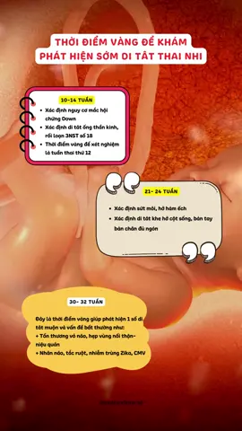 Mẹ bầu nhớ siêu âm đủ các mốc quan trọng trong thai kỳ nhé #landaulamme #LearnOnTikTok #embeduocsi #mebau #thaikykhoemanh #mebauthongthai #mangthai #mangthailandau 