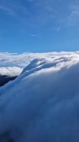 Tag teman nyaman kalian.  Moment at Mt. Bulu baria #foryou #fyppppppppppppppppppppppp #pendakigunung #cloud #langit 