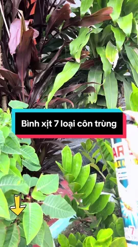 Nhà bác nào nhiều muỗi thử mua loại này dùng hiệu quả lắm #xitcontrung #ARS #songkhoe247 #noitro #xuhuong 
