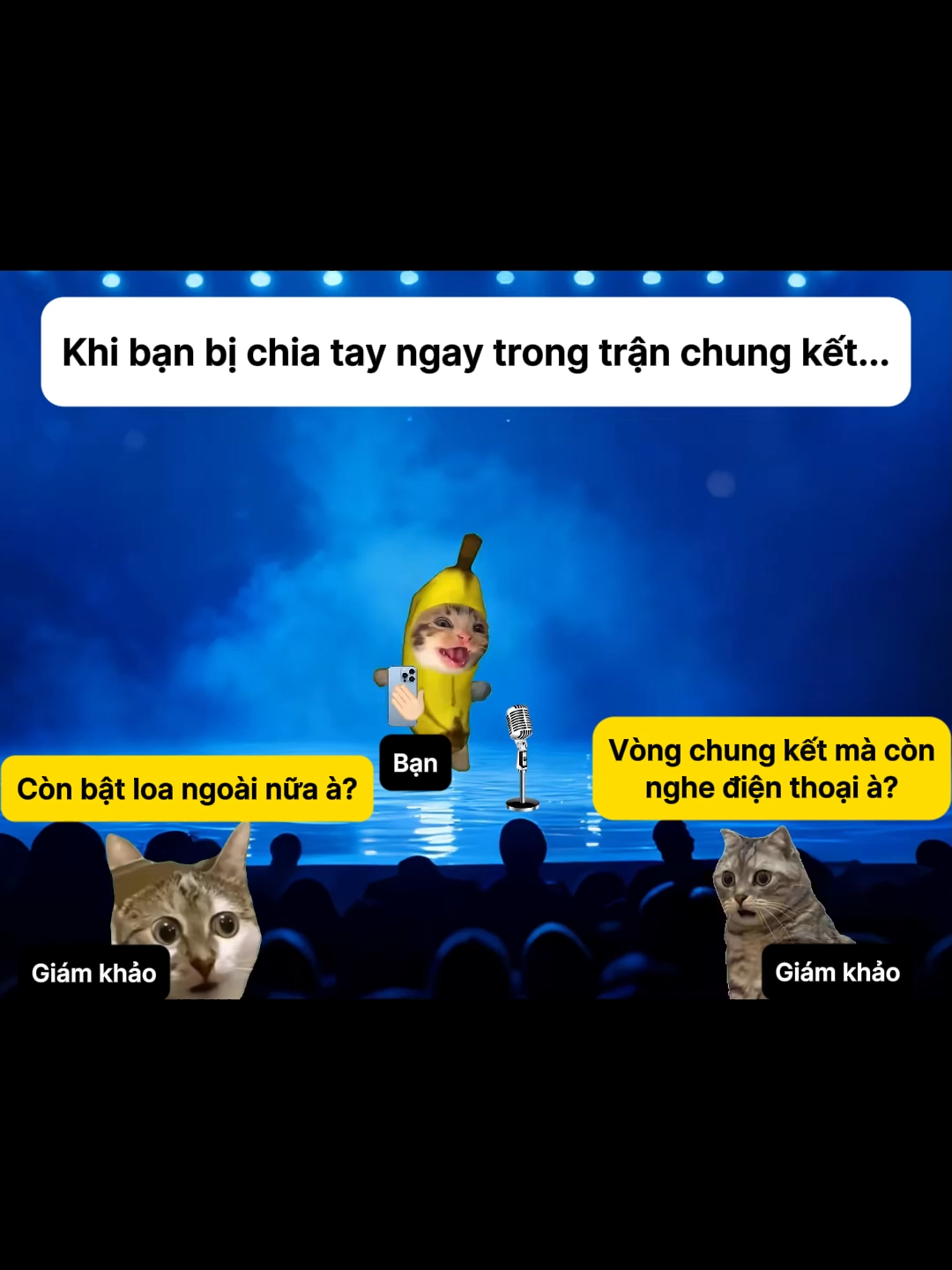 Khi bạn bị chia tay ngay trong trận chung kết #cat #pets #catmemes #meme