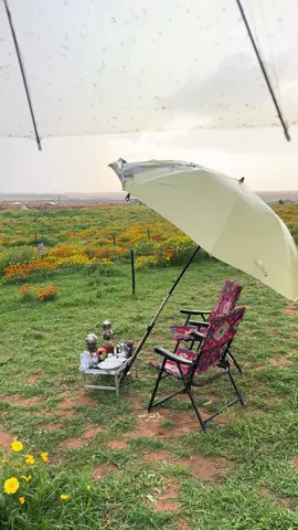 #الشتاء #القصيم #اكسبلور #ترند #مطر 