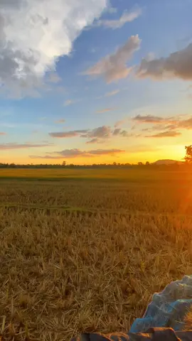 อีกบ่กิเดือนกะผ่านไปอีกหนึ่งปีทุกอย่างสิกายเป็นอดีต #สตอรี่_ความรู้สึก😔🖤🥀 #วิวบ้านนอก🍃 #ท้องฟ้า #🌾🌾 #ทุ่งนา☀️☀️ #fyp #เธรดเพลง 