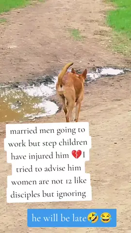 #king vibes  #fypシ゚vibes 