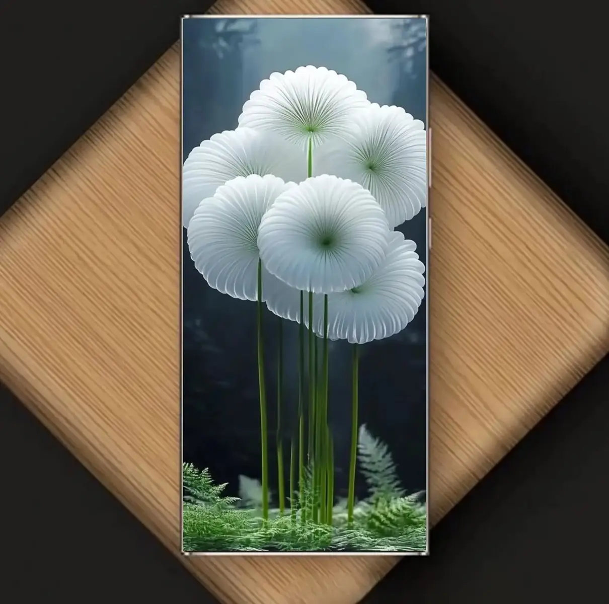 Beautiful & HD Wallpapers For Mobile II Must Use These Wallpapers #trendyyy #fashioninspo #desidress✨🌹😘👆💯 