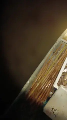 đêm 7 8 xị hok làm đi đẩy xiệt lạnh đc 2 xị khùng thiệt 😆🤣#mientaysongnuoc #mientayquetoi #68kiengiang #xh #xuhuongtiktok 