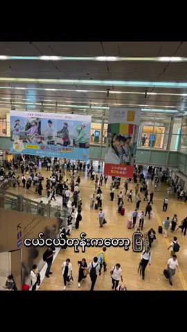 ဘဝက ဘယ်သူစီစဉ်တာလဲ 🤣 #thantkokozin#nagoya #japan 