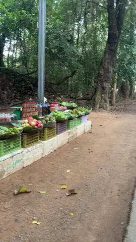 ចង់លេងជាមួយគេ គេអត់លេងជាមួយ😆🦦