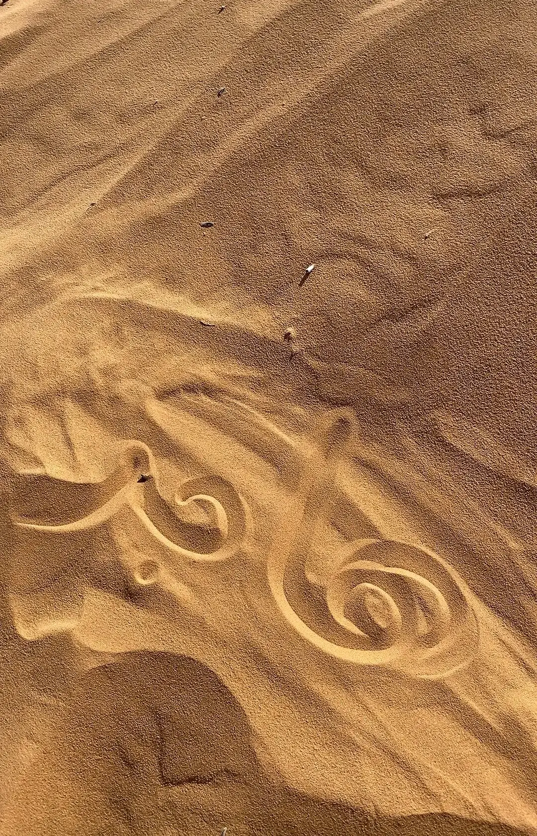 كله الا زعل بنوتاتي 🥹💗 لو نكتب اسمائهم ف رملة حوشنا ولا يقعد ف خاطرهم ترند 🥹😭😭😭 