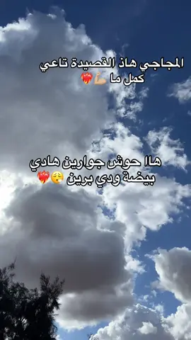 #المجاجي_و_الحكومة_العاقلة🍾🥂 #58ولاية 