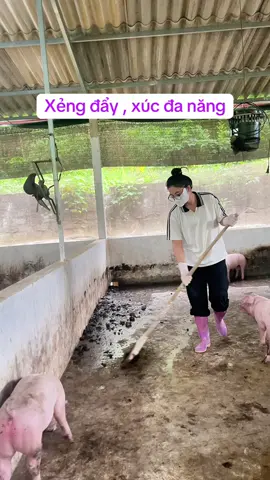 #chănnuôi #nongtraivuive #channuoiheo #channuoi #xengdanang 