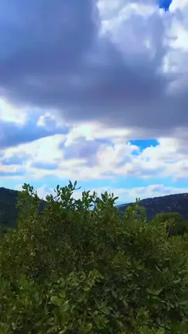 #آلُخـآآآلُ✔  #لايك_متابعه_حركة_الاكسبلور❤ 