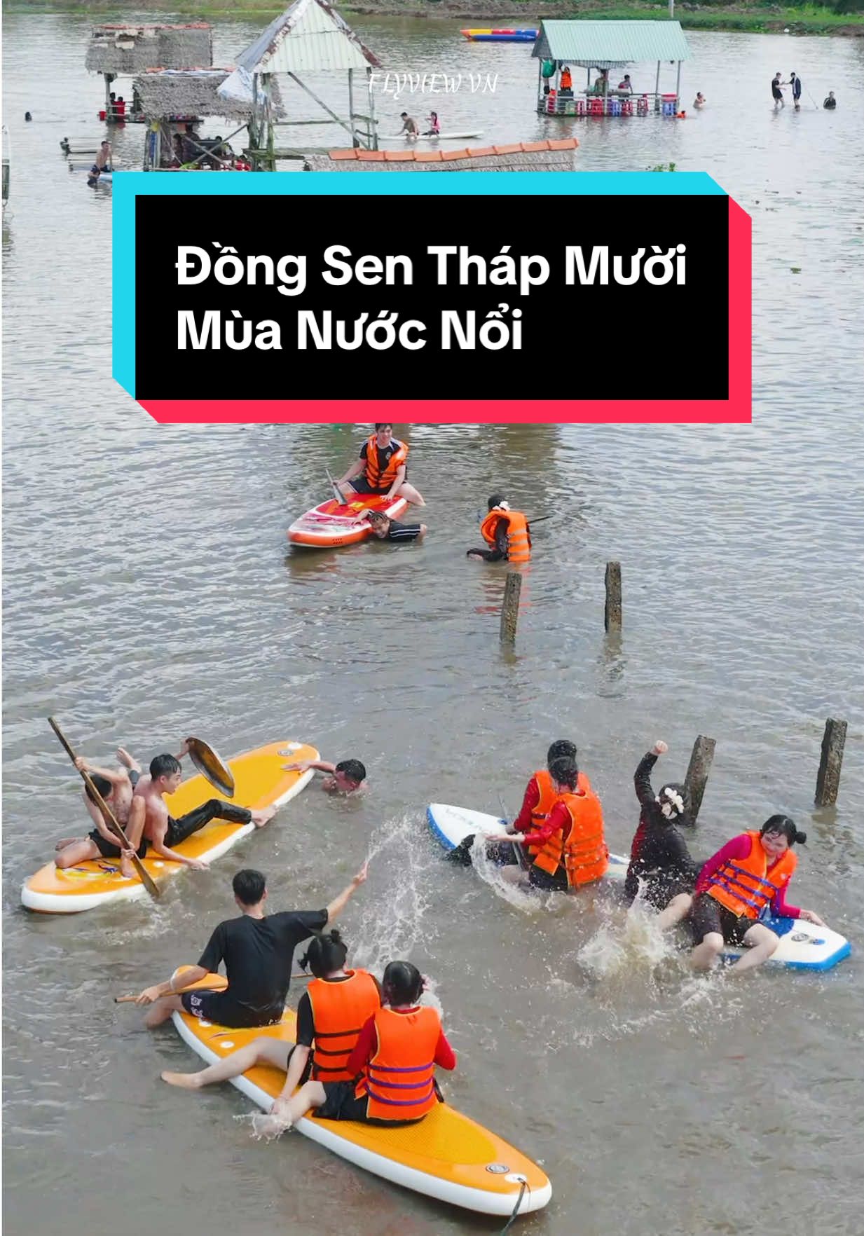 Đồng sen Tháp Mười mới nhất hôm nay.Chủ nhật quá đông quá vui rồi anh chị em ơi🤣 #dongsenthapmuoi #flyviewvn #muanuocnoimientay #xuhuong 