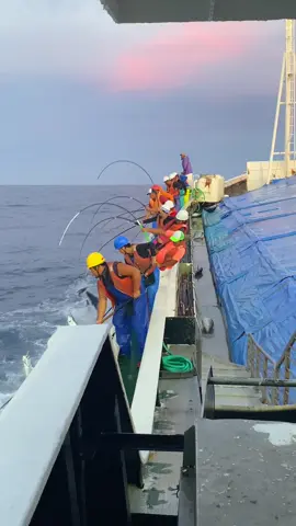 Hobi yang di bayar💪#foryou #masukberandafyp #foryoupage #fyp #mancingmania 