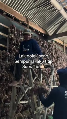 Seng tenang mbah, di rokok i disek  sistem kita apapun yang di kerjakan pekerjaan harus Happy 😂🧅  #bawangmerahnganjuk #petaniindonesia🇮🇩🇮🇩🇮🇩🌿🌿 #petanimuda #nganjukkotaangin #fyp 