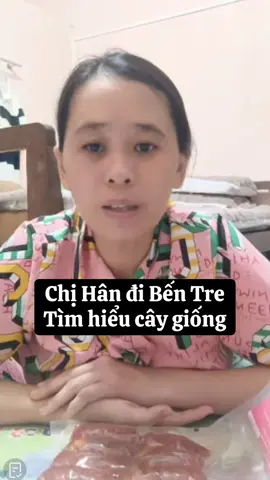 Chị Hân đi Bến Tre tìm hiểu cây #hannguyen #haihuoc 