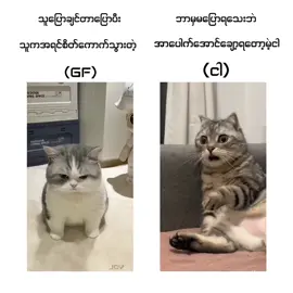 ငါဘာမှကိုမပြောသေးဘူး🥲#foryoupage #fyp #myanmartiktok🇲🇲🇲🇲 #joy_for_preset007 