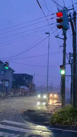 Tuyết đầu mùa thì đẹp, nỗi khổ của người đi làm ❄️ #hatrandhuy #kutchan #nhatban #hokkaido 