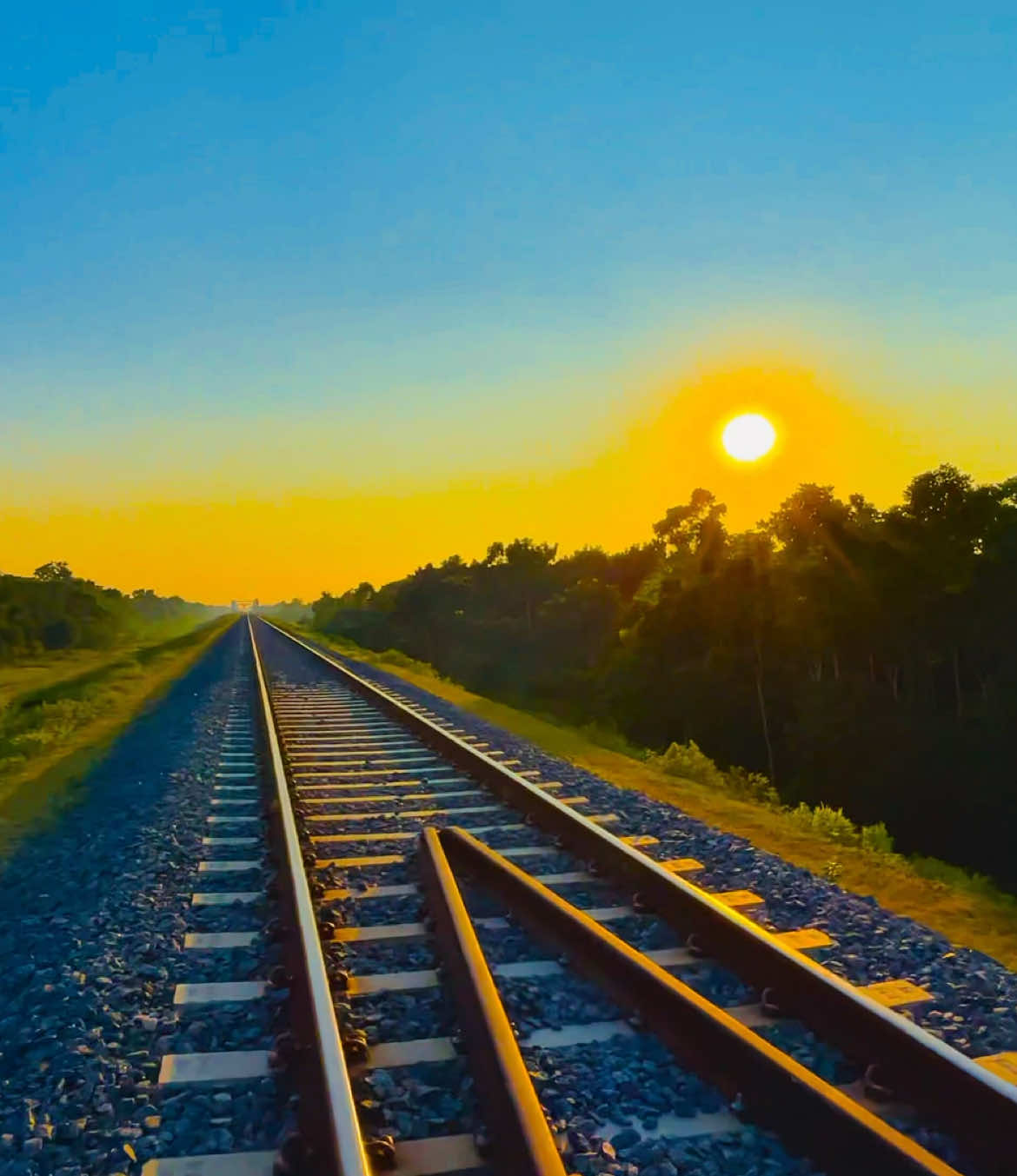 প্রেমে পড়লে তো ফেরার রাস্তা থাকে আমি পড়ছি মায়াই 😫🍃 #প্রকৃতি #sky #anfreezemyacount #viral_video_tiktok #foryoupageofficiall 
