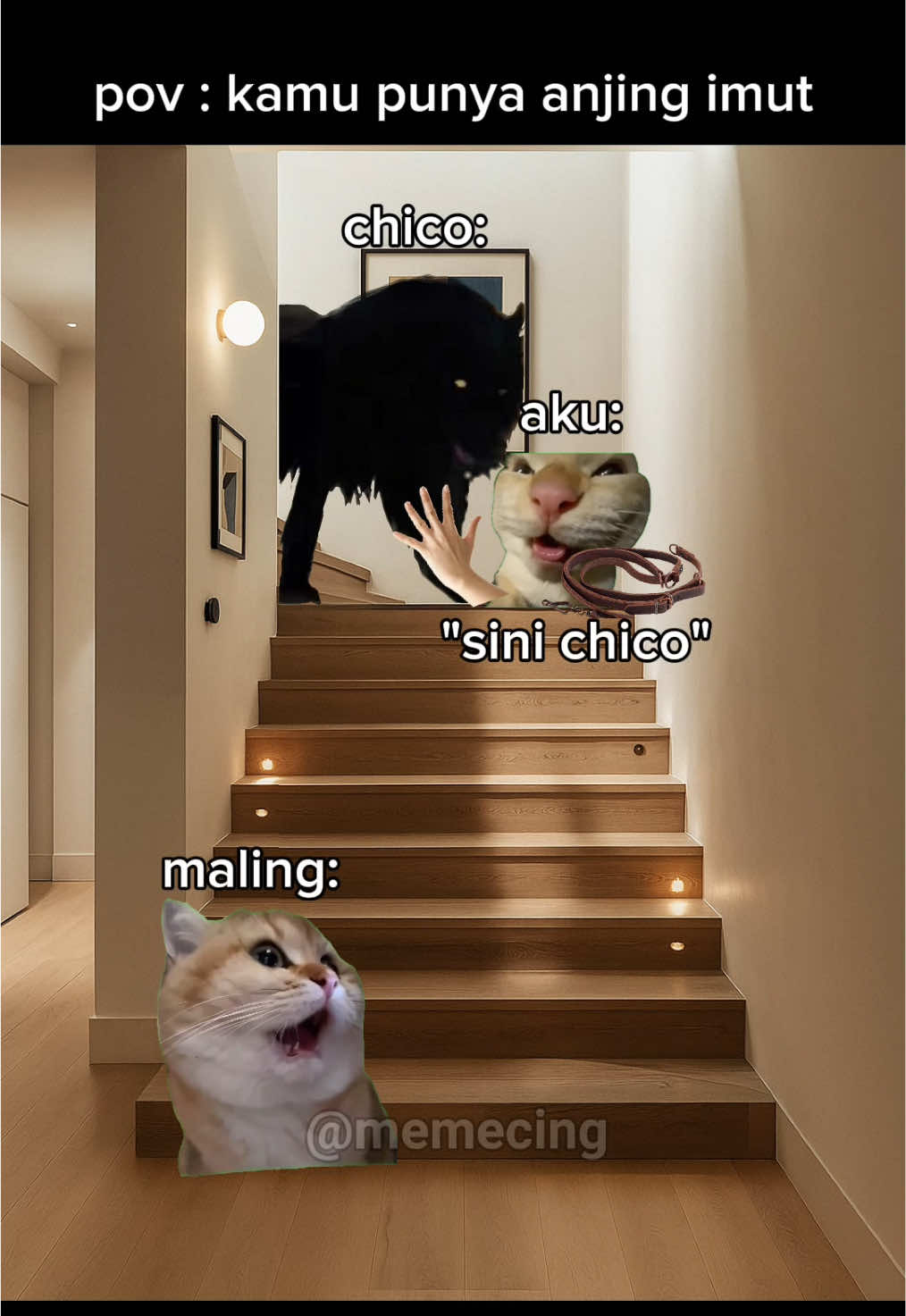 gimana gatakut coba🗿 #meme #memekucing #kucinglucu #catmemes #fyp 