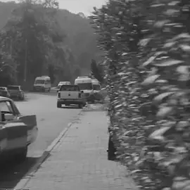 إشرف#foryou #foryoupage #xflegend #mamosalegend #rahoo_editor1 