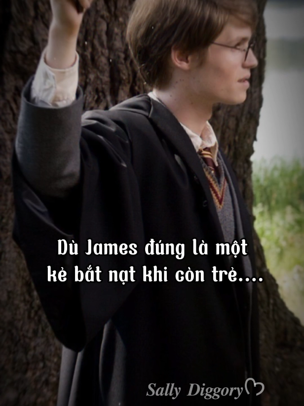 Đây là ykr của tui, ko thích= lướt ạ! #potterhead #harrypotter #jamespotter #lilyevans #xh 