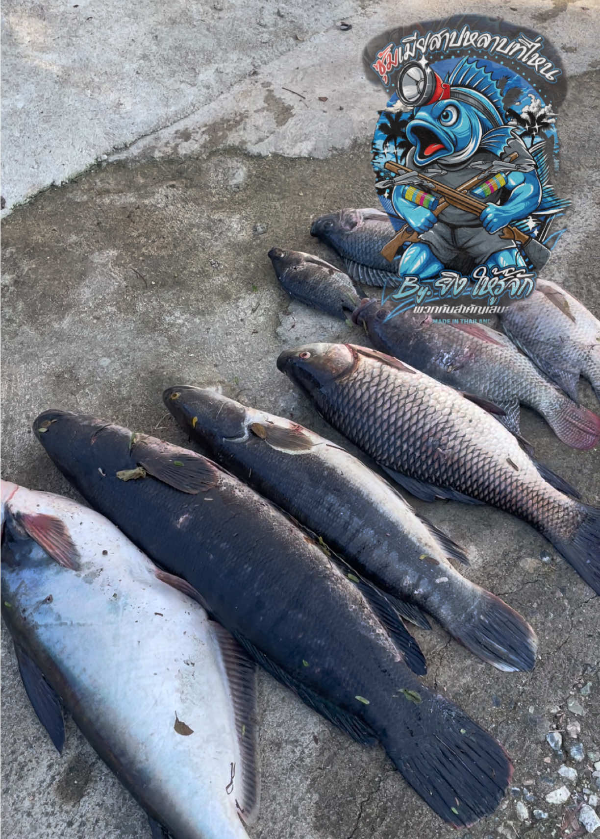 เช้าปลาผุดบ่ายปลาล่อง##หน้าไม้ยิงปลา##นครสวรรค์##ท้ายเมียด่า##ฟีดดดシ##ซุ้มเมียสาปหลาบที่ไหน