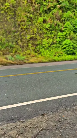 #mxsoloraya #Pasukan MX Sulteng #fypシ゚ #mxking #CapCut 