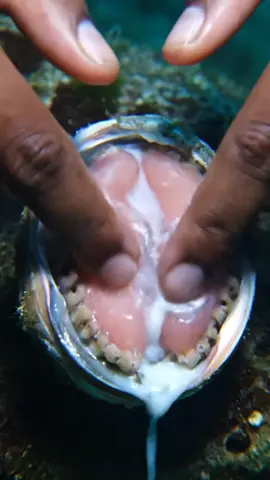 #seafood #fyp 