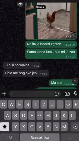 Šta je loše kokoš zaštitit? 😂😂😂