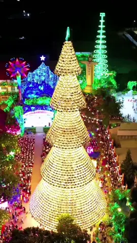 #xuhuongtiktok cây thông Noel lớn nhất cao hùng Taiwan #merychristmas 2025#taiwan🇹🇼 