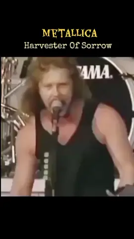 Metallica - Harvester of Sorrow #metallica #jameshetfield #larsulrich #kirkhammett #jasonnewsted 