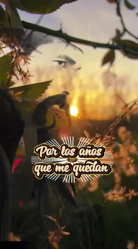 #porlosañosquemequedan #puro_camaron_ #cancioncompleta #cancionconletra #corazonranchero 