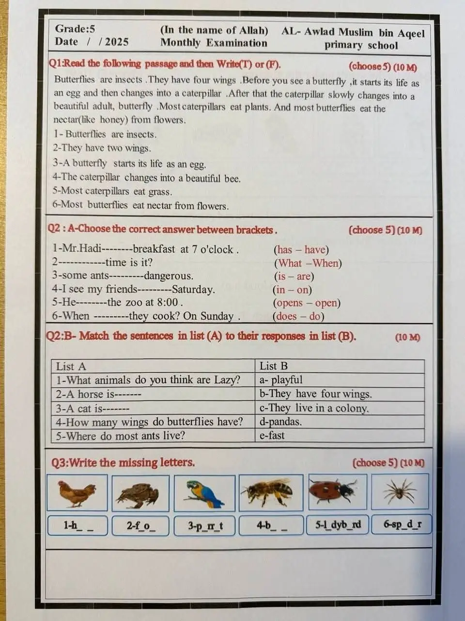 اسئلة انكليزي خامس ابتدائي الشهر الثاني للفائدة فقط السؤال الرابع الاسقاطات اكو خطأ إضافة كلمة fat #الحمدلله_دائماً_وابداً  #شاركو_عمريہ💞  #عاجل_الان🔴🔴 