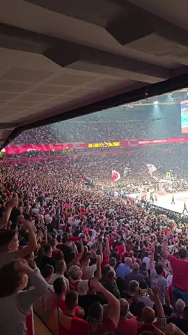 NA NA NA NA NA ZVEZDA SAMPION ❤️🤍 #crvenazvezda #euroleague #olympiacos @BC Crvena zvezda 