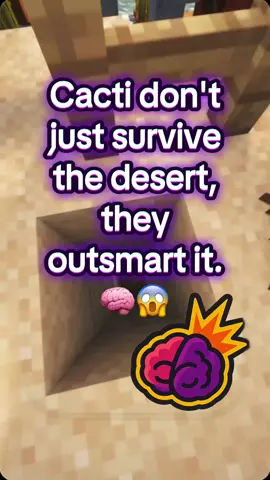 Cacti photosynthesize in stealth mode — nature’s ultimate survival hack. 🌵🌙 #cactus #cacti #desert #dailyfacts #viral 