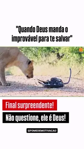 Ninguém entende os desígnios de Deus. #fomedemotivacao #superação #motivação