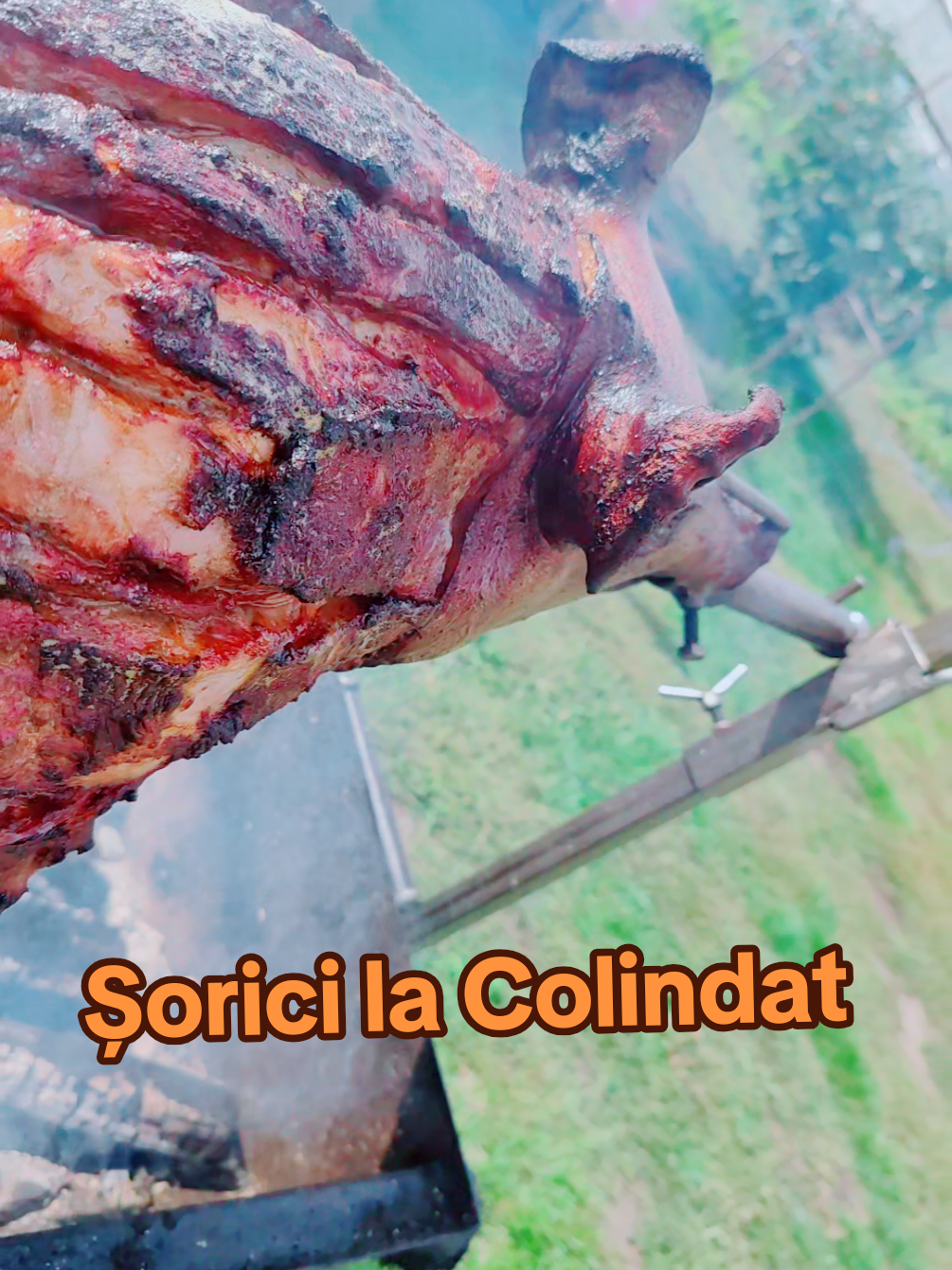 Sa nu veniți 🫣 #sorici #colindatori #iarna #zapada #porco 